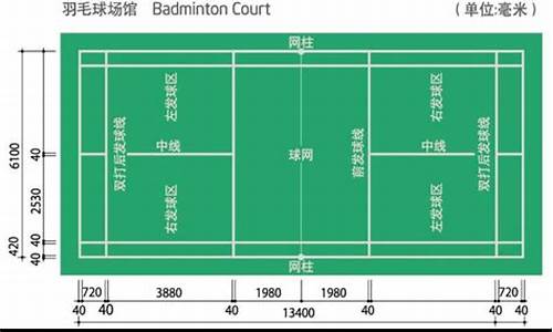 羽毛球场地标准规格,标准羽毛球场地尺寸规则