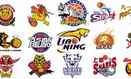 09年cba多少球队,cba2008-2009赛季