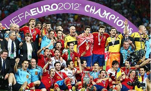 2012欧洲杯赛事,2012欧洲杯比赛城市